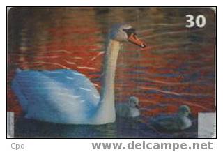 # DANMARK D30 Swan (neuve) 30 Ods 02.00 -animal,cygne,swan- Tres Bon Etat Unused - Dänemark