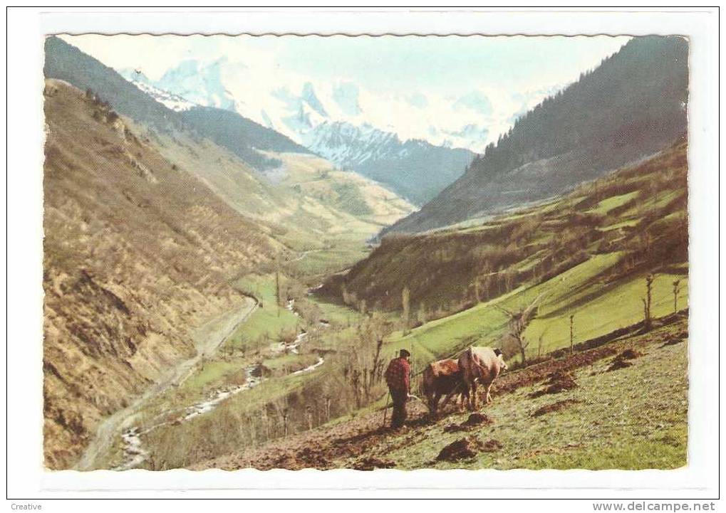 ESPAÑA,Espagne,Spain,Spanje. EN  VALLE  DE  ARAN.Ribera Del Rio Negro.PIRINEOS DE LERIDA (2scans) - Lérida