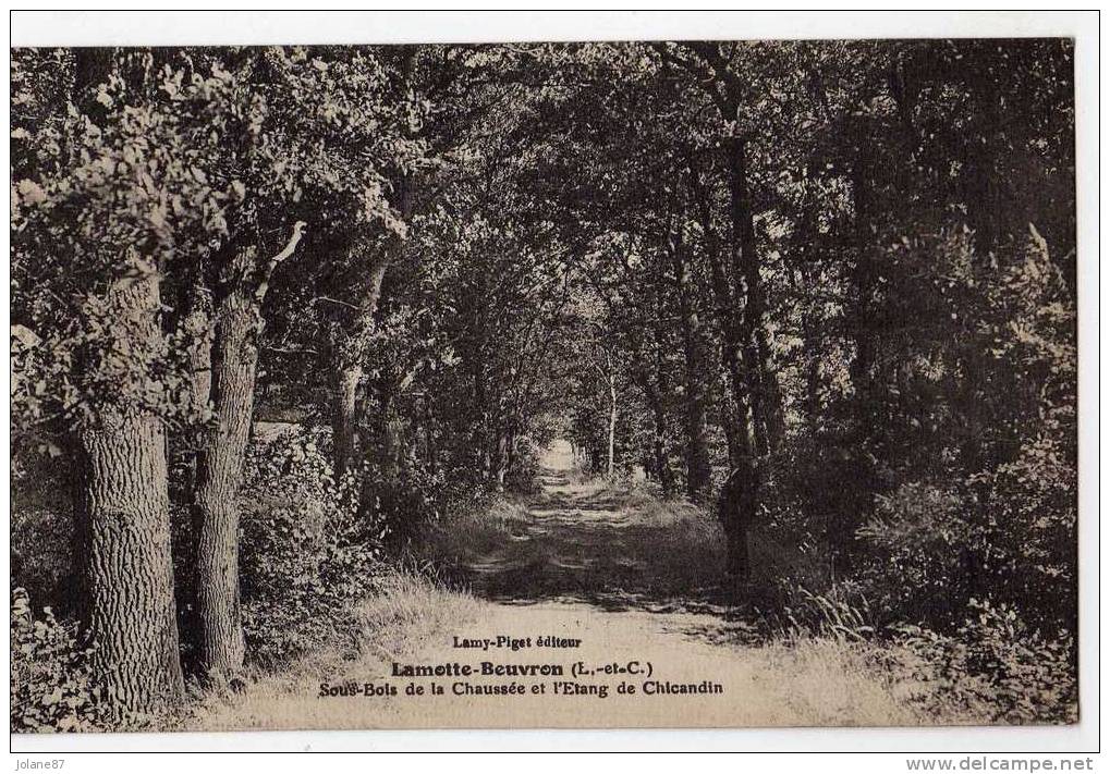 CPA    41     LAMOTTE BEUVRON   1927    SOUS BOIS DE LA CHAUSSEE ET L ETANG DE CHICANDIN - Lamotte Beuvron