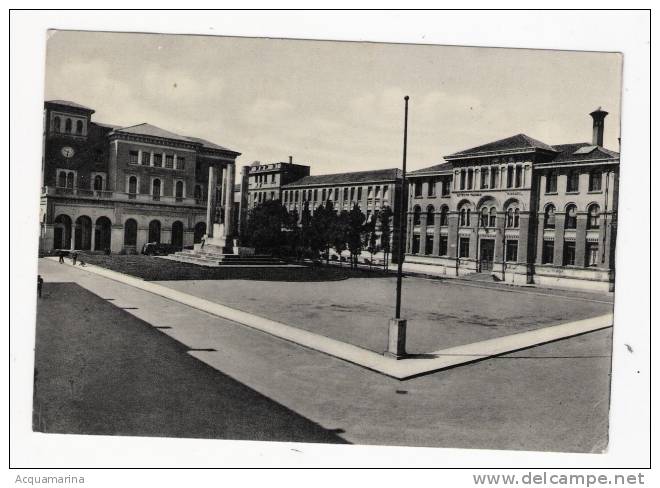 TREVISO - Piazza Della Vittoria - Monumento Ai Caduti - Cartolina FG V - Treviso