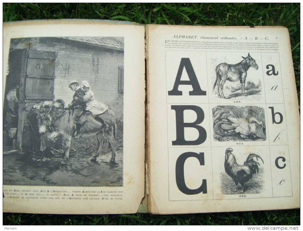 Album Ancien -MON PREMIER ALPHABET- Illustration:gunning King-tinant-c Kronberger-c Rochling-barrani-a Kohl Etc... - Autres & Non Classés