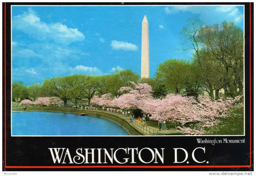 ETATS UNIS-WASHINGTON D C Washington Monument-MB - Autres & Non Classés