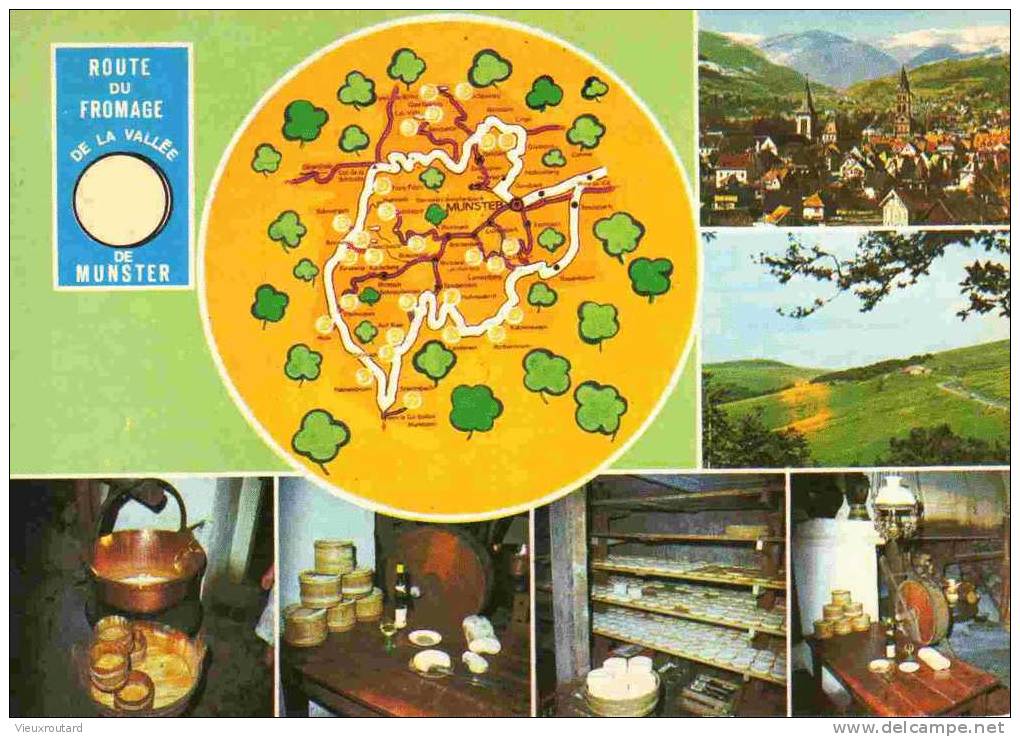 CPSM. ROUTE DU FROMAGE RELIE VALLEE DE MUNSTER AUX FERMES AUBERGES DES HAUTES VOSGES. OU ONT FABRIQUE LE FROMAGE MUNSTER - Fermes