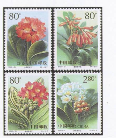 2000-24 CHINA FLOWERS(Clivia) 4V STAMP+MS - Ungebraucht