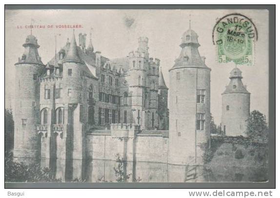 CPA Belgique, Chateau De Vosselaer - Vosselaar