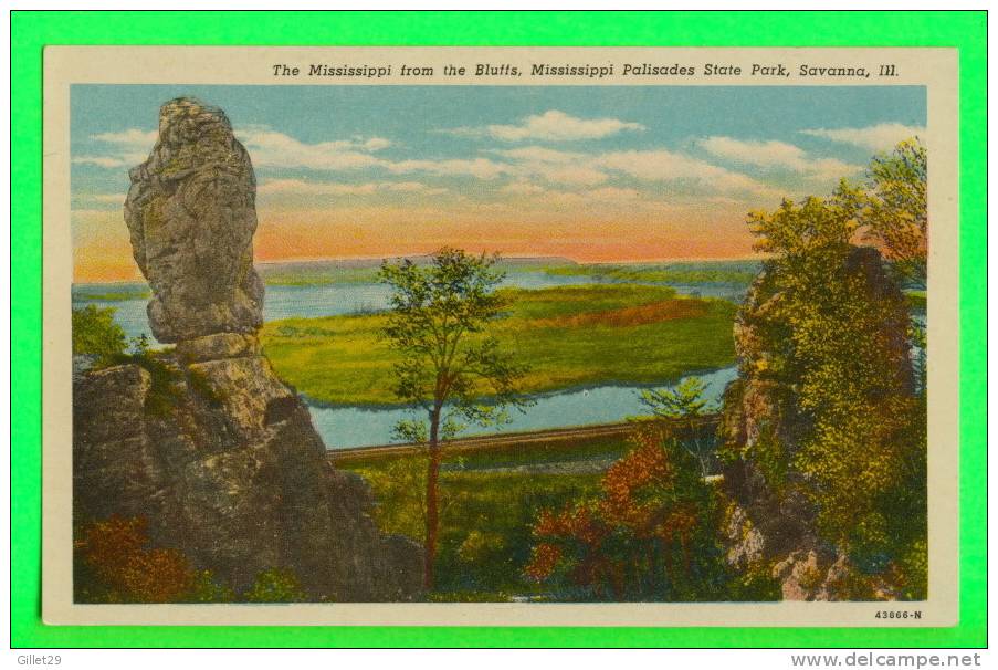 SAVANNA, IL - THE MISSISSIPPI FROM THE BLUFFS -  PALISADES STATE PARK - MARTH BROS. - - Andere & Zonder Classificatie