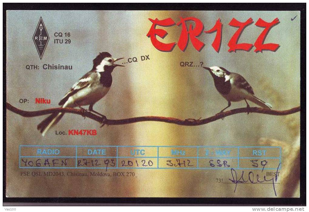 Bird Postcard Chisinau - Amateur - Radio- Station. - Seagulls