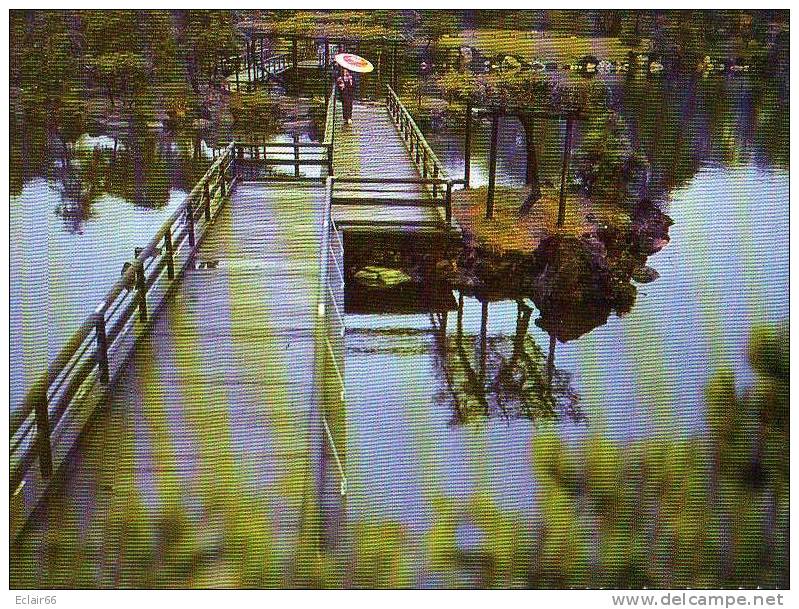 TOKYO (JAPON) - Hama-Rikyu, Jardin Sous La Pluie (CPM) - Tokyo