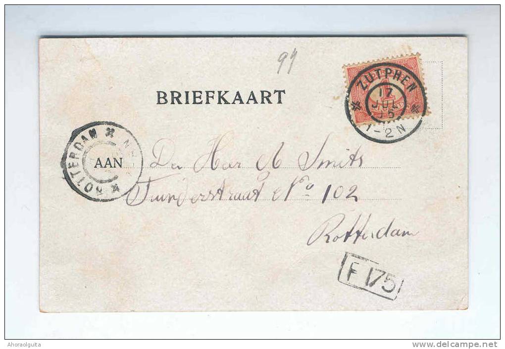 Zichtkaart ZUTPHEN 1905 -  Langehofstraat Met Animatie - Stempel GR Zutphen  --  7/729 - Zutphen