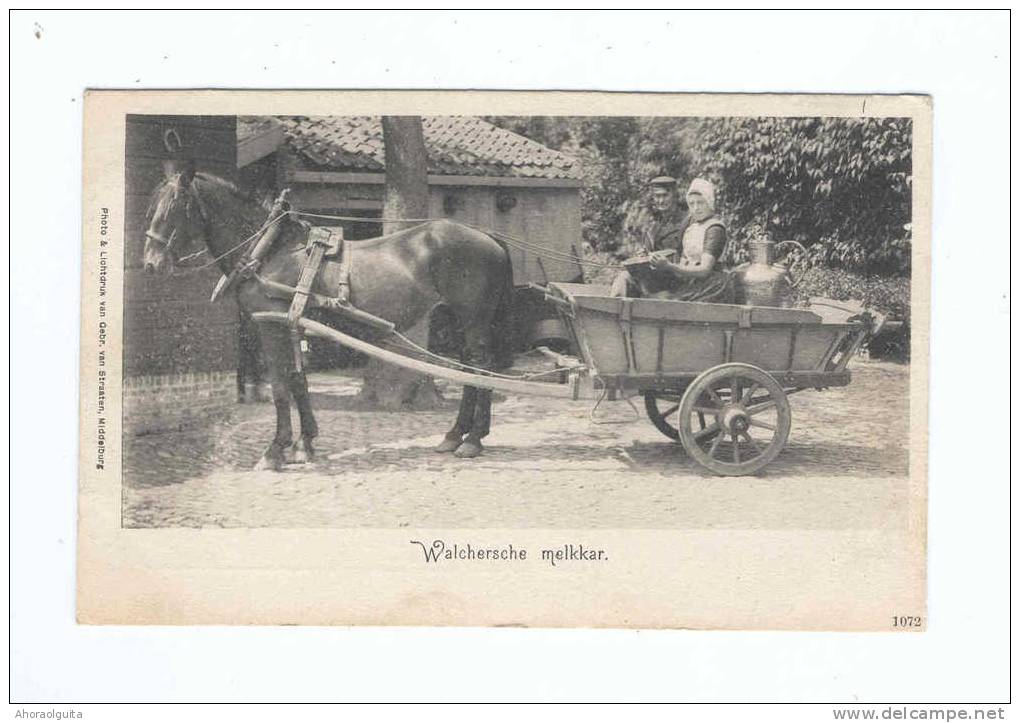 Zichtkaart  ZEELAND Walcherse Melkkar - Nieuw  --  7/748 - Autres & Non Classés