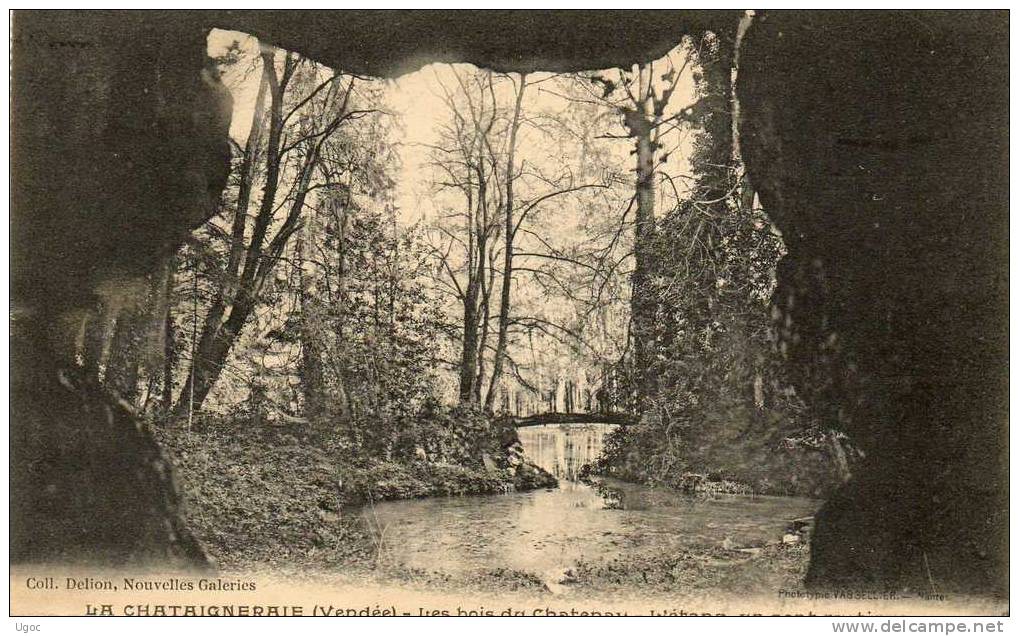 CPA - 85 - LA CHATAIGNERAIE- Les Bois Du Chatenay - L'étang, Un Pont Rustique - 614 - La Chataigneraie