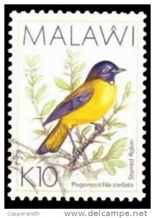 (008 G) Malawi  10K Bird / Oiseau / Vogel / Vogels  Used / Obliterees / Gestempelt  Michel 649 ** 170,00 - Malawi (1964-...)