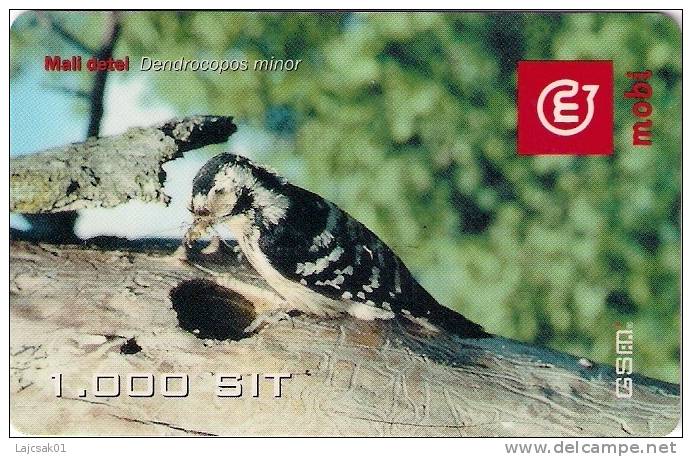 Lesser Spotted Woodpecker-Dendrocopos Minor,Slovenia GSM Card - Slovenia