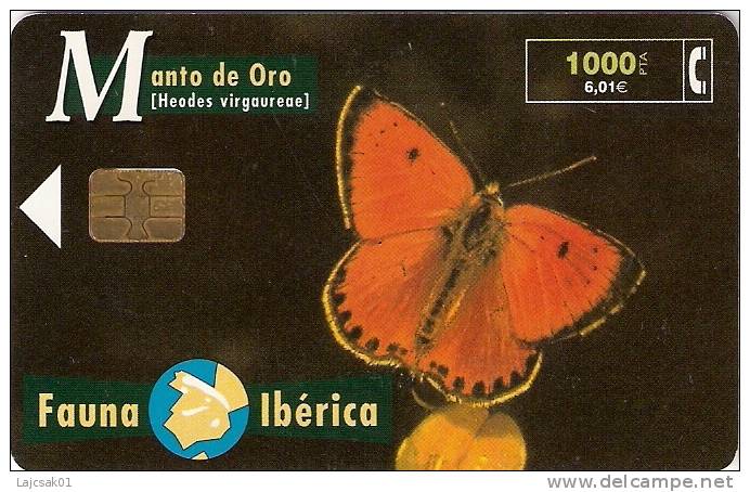 Butterfly Heodes Virgaureae Spain Manto De Oro - Emissions Basiques
