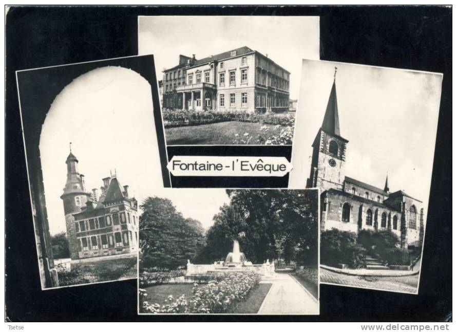 Fontaine-l'Evêque - Carte Multivues -1961 - Fontaine-l'Eveque