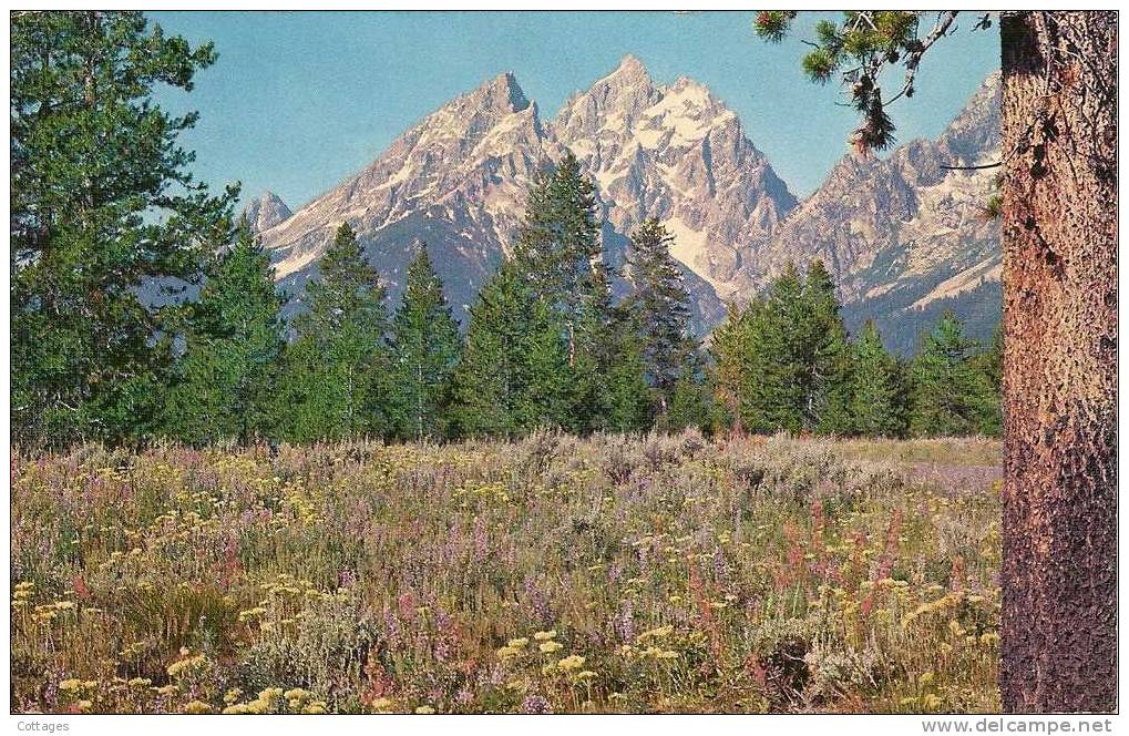 GRAND TETON PEAK - GRAND TETON NATIONAL PARK - WYOMING - 1970 - Yellowstone