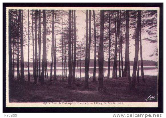 35 PAIMPONT Etang Pas De Houx Forêt - Paimpont