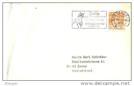 DENMARK 1973 EUROPALIA  POSTMARK - Storia Postale