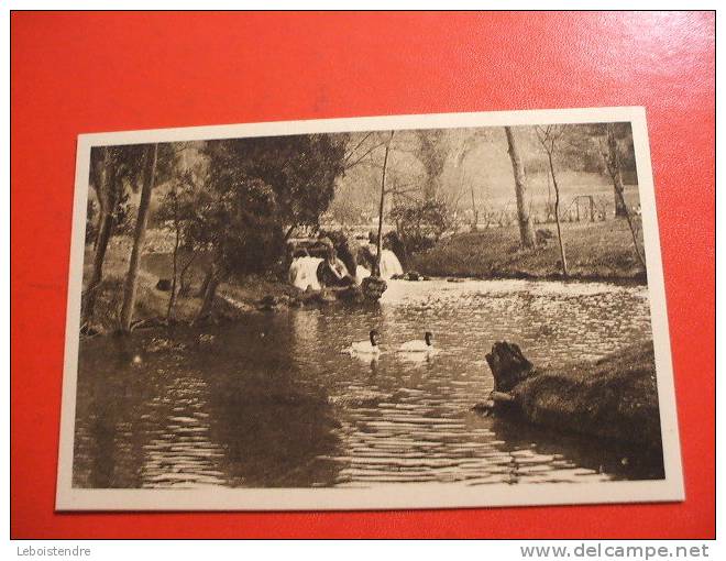 CPSM -(76-SEINE MARITIME)-PARC ZOOLOGIQUE DE CLERES-CYGNES A COU NOIR-CARTE EN BON ETAT - Clères