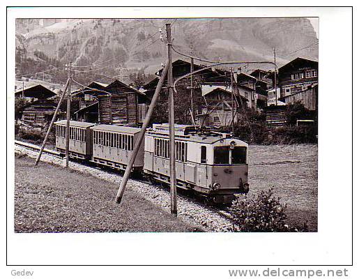 Inden Chemin De Fer LLB Photo Rochaix (BVA 17333) - Inden