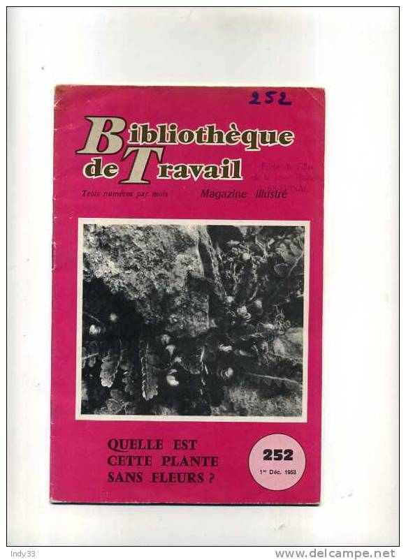 - QUELLE EST CETTE PLANTE SANS FLEURS ? . BIBLIOTHEQUE DE TRAVAIL   N°252  DEC. 1953 - Jardinage