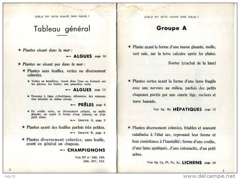 - QUELLE EST CETTE PLANTE SANS FLEURS ? . BIBLIOTHEQUE DE TRAVAIL   N°252  DEC. 1953 - Jardinería