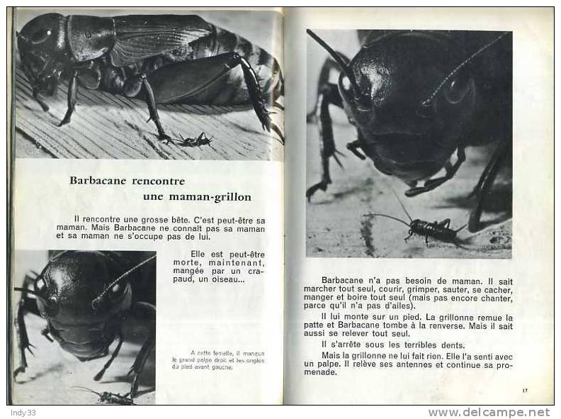 - BARBACANE GRILLON DES CHAMPS  . BIBLIOTHEQUE DE TRAVAIL   N°507/508/509  DEC. 1961 - Dieren
