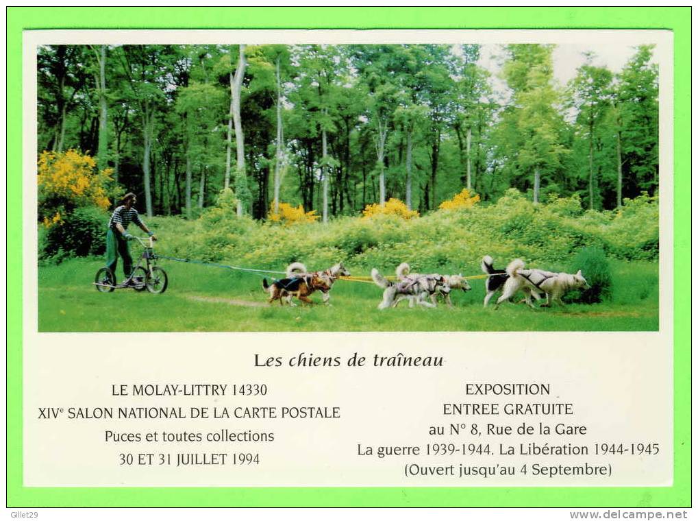 AGRICULTURE - ATTELAGES DE CHIEN DE TRAÎNEAU - MOLAY-LITTRY (14) -14e SALON DE LA CP EN 1994 - SÉRIE No 37 - - Attelages