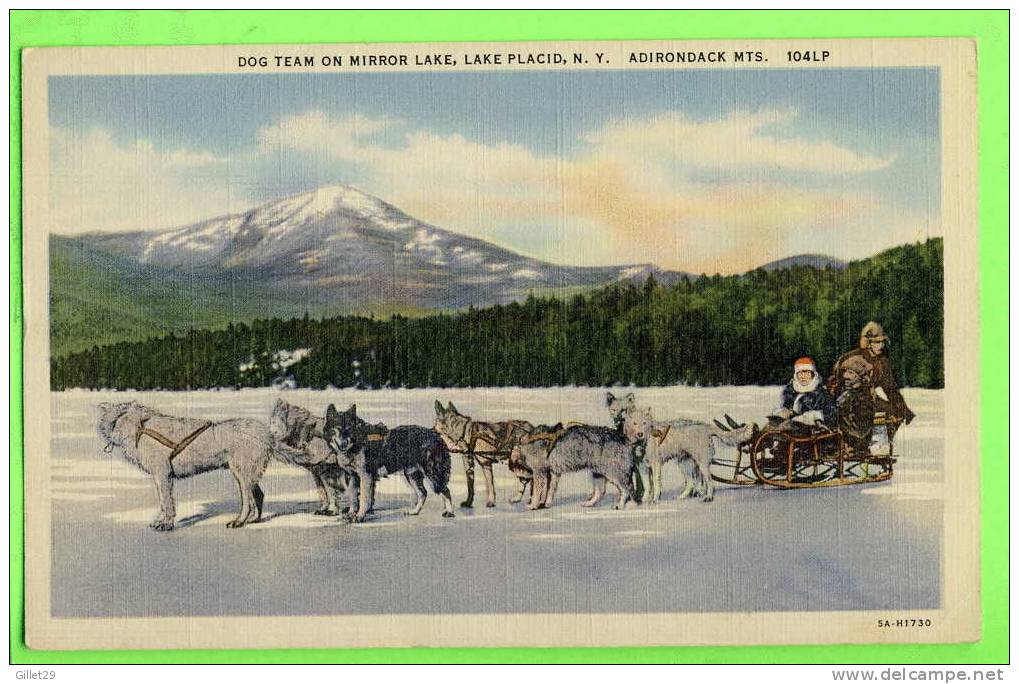 AGRICULTURE - ATTELAGES DE CHIEN DE TRAÎNEAU - DOG TEAM ON MIRROR LAKE, LAKE PLACID, N.Y. - C.W. HUGHES & CO - - Attelages