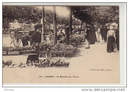 ANGERS LE MARCHE AUX FLEURS - Angers