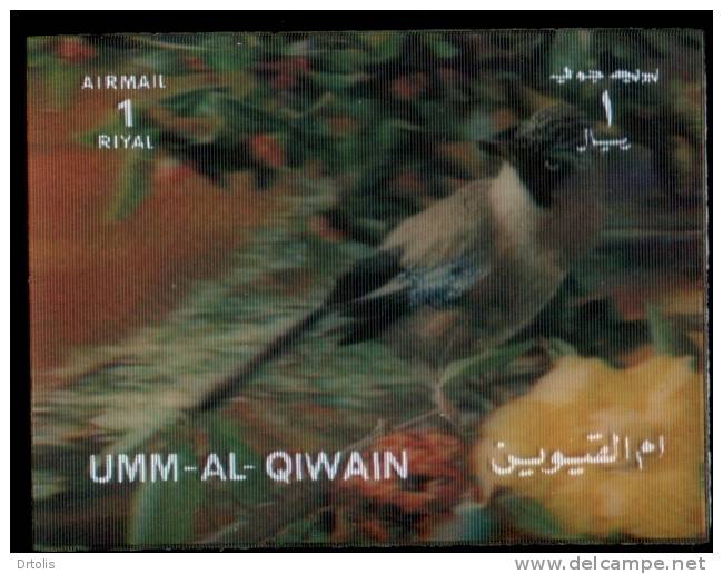 BIRDS / UMM AL QIWAIN / HOLOGRAM . - Cernícalo