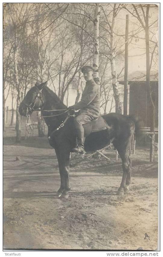 Kobryn Belarus Deutscher Offizier Auf Dem Pferd Ross Russia Handschriftlich 1. Weltkrieg Februar 1917 Private Fotokarte - Wit-Rusland