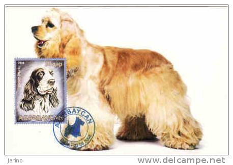 Chien - Dog, Cocker Spaniel, Mint Maxicard - Azerbaijan, Nouvelle - Azerbeidzjan