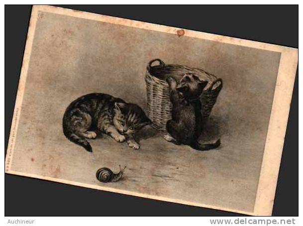 CPSM - Chatons, Corbeille Et Escargot - B Sirven - Cats