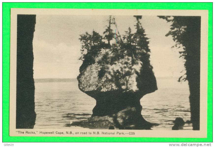HOPEWELL CAPE, N.B. - THE ROCKS - PECO - - Other & Unclassified