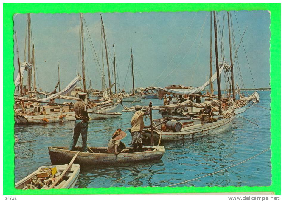 NASSAU, BAHAMAS - LES PÊCHEURS AVEC LEURS BATEAUX - - Bahamas