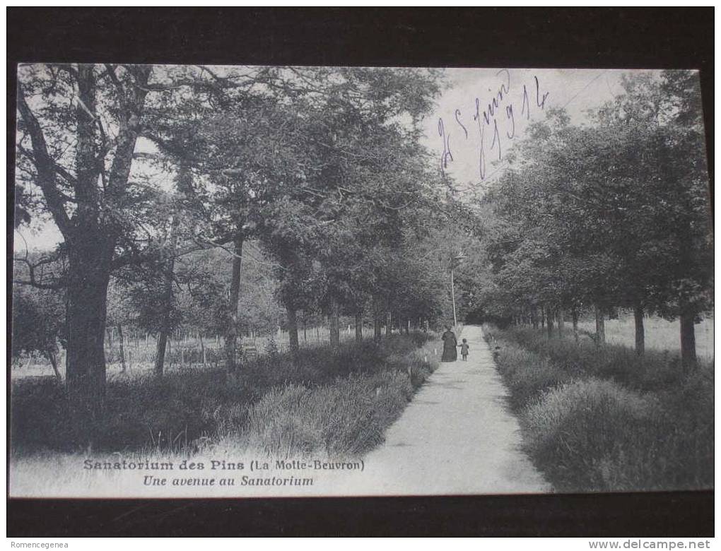 LA MOTTE-BEUVRON (LAMOTTE-BEUVRON) - Sanatorium Des Pins - Une Avenue Du Sanatorium - Animée - Lamotte Beuvron