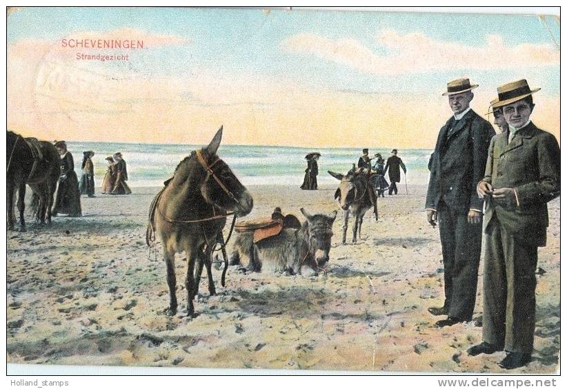 ANSICHTKAART SCHEVENINGEN (576) EZELTJE RIJDEN POSTSTEMPEL 1910 GELOPEN NAAR ROTTERDAM - Scheveningen