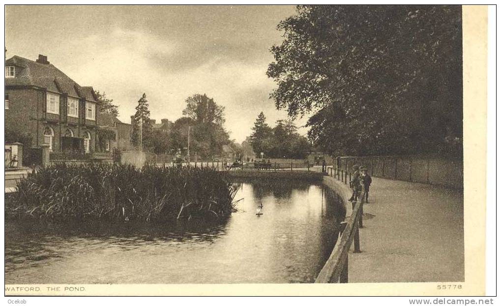 WATFORD  The Pond N°55778 - Hertfordshire