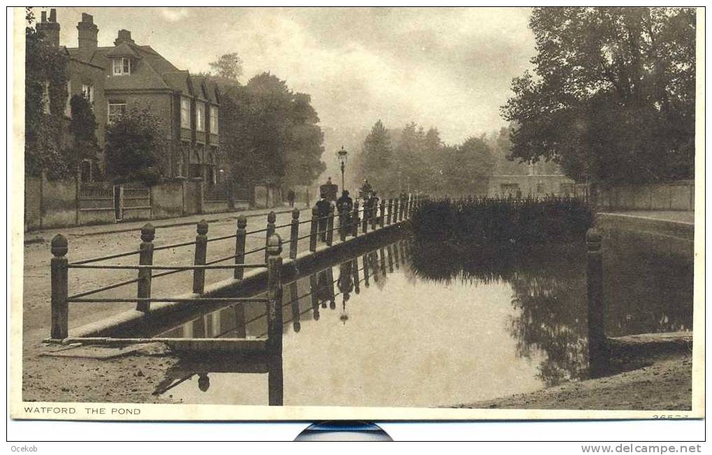 WATFORD  The Pond   N° 365?? - Hertfordshire