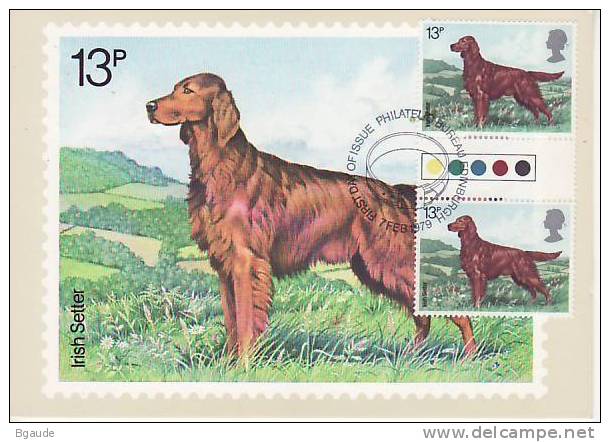 GRANDE BRETAGNE  CARTE MAXIMUM NUM.YVERT 883 CHIEN EXPOSITION CANINE - PHQ Cards