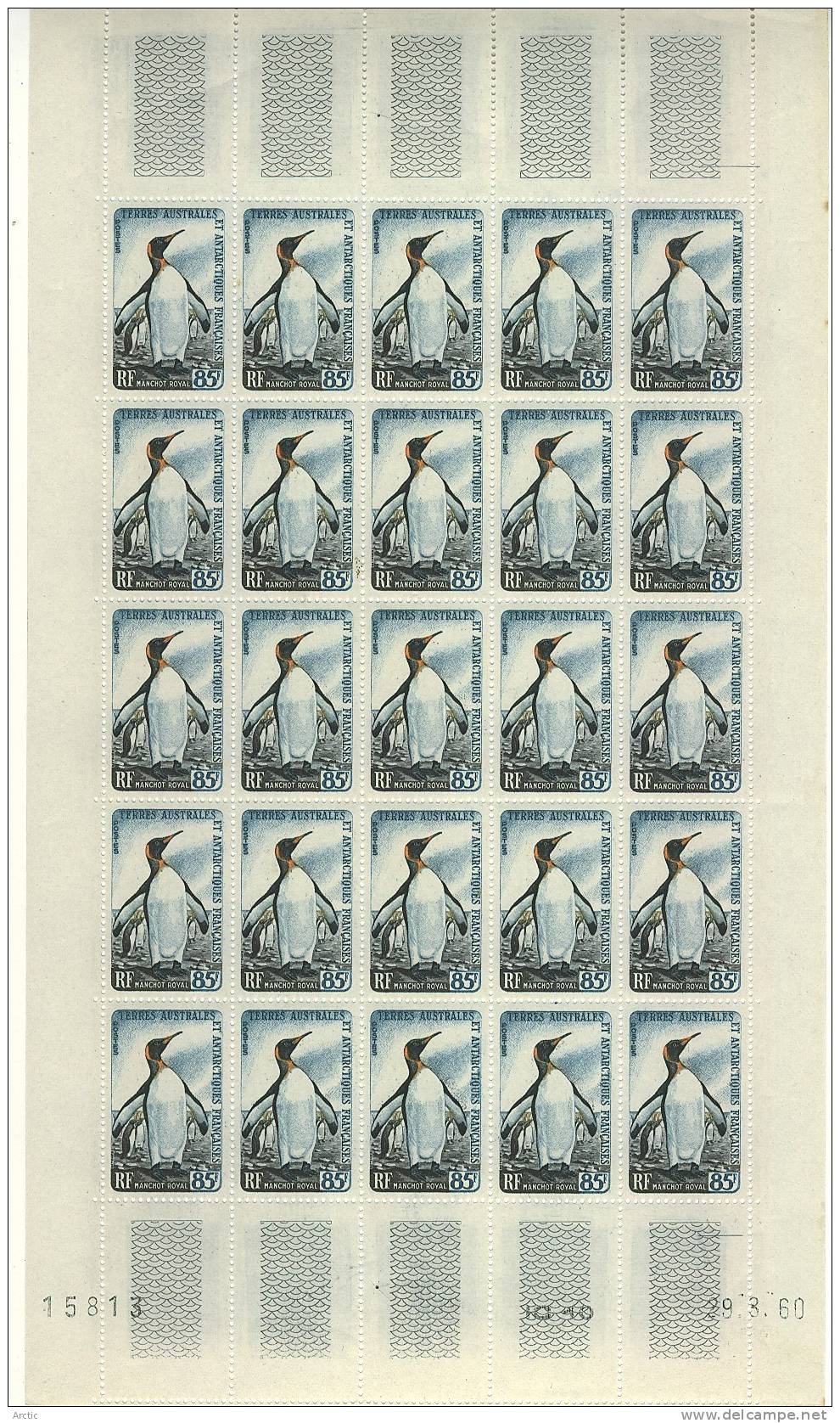 T A A F  Planche De 25 Timbres PARFAIT état  Réf 17 Manchot Royal - Autres & Non Classés