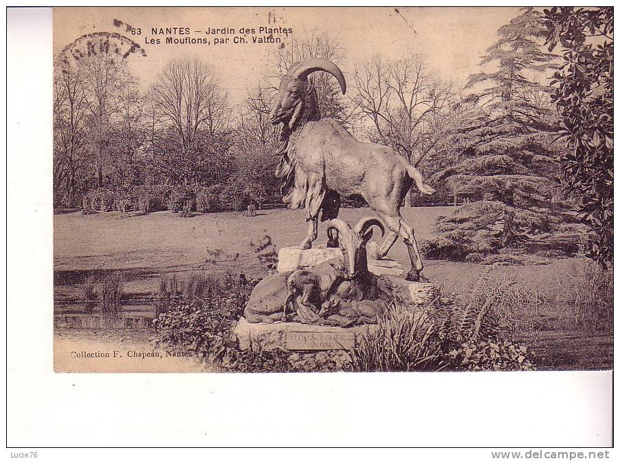 NANTES - Jardin Des Plantes - Les Mouflons, Par Ch. Valton - N° 63 - Nantes