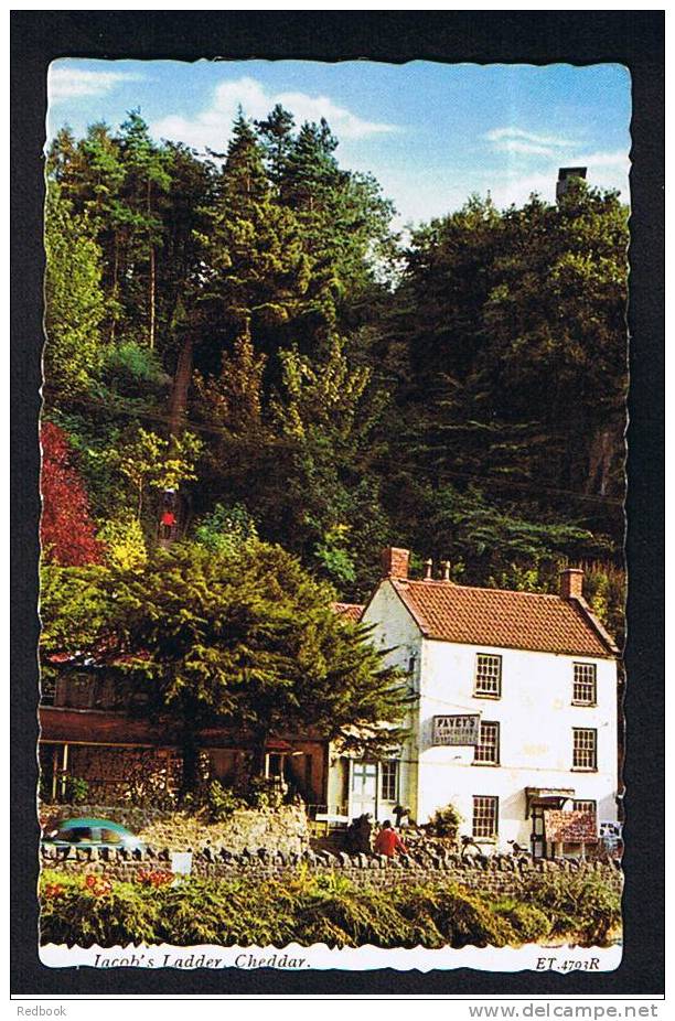 5 Postcards Cheddar Somerset - Jacobs Ladder - Cliff Hotel - The Lake   - Ref 452 - Cheddar