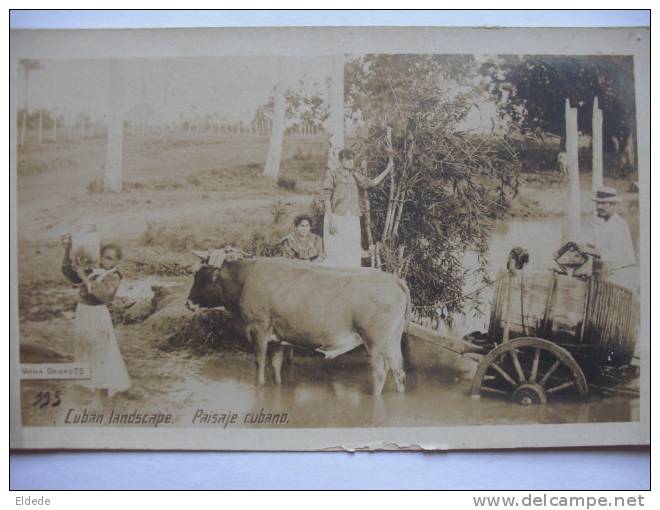 Paisaje Cubano Ox Cart  Viena Obispo 75 Water Seller - Cuba