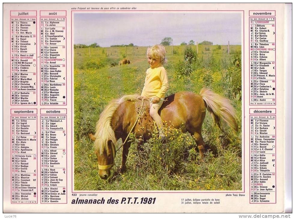 ALMANACH DES PTT  -     1981  -  Sur La Plage  -  Jeune Cavalier - Grand Format : 1981-90