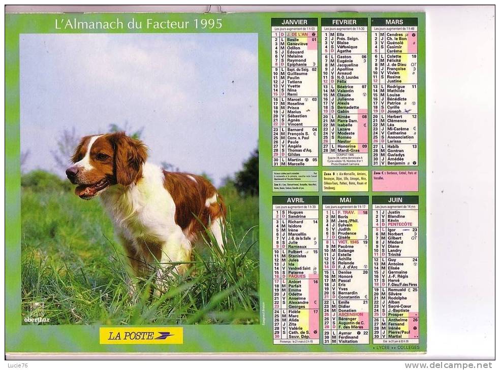 ALMANACH DU FACTEUR -  OBERTHUR  -  1995  -  CHIENS DE CHASSE - Big : 1991-00