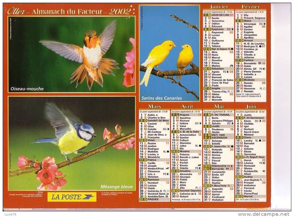 CALENDRIER  -  OLLER  - 2002 -  Oiseau Mouche, Serins, Mésange Bleue, Rouge Gorge, Diamant De Gould, Inséparables - Formato Grande : 2001-...