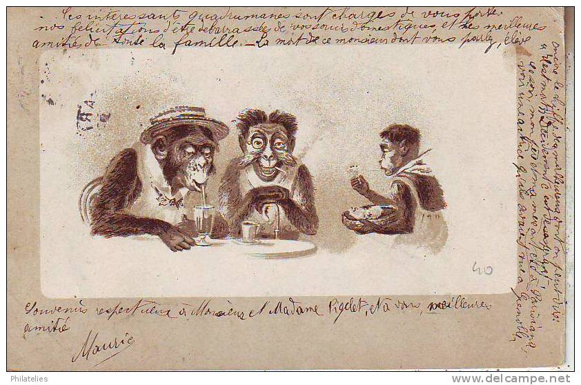 HISTOIRES DE SINGES  1905 - Monkeys