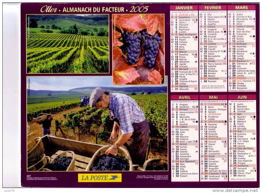 ALMANACH  Du FACTEUR -  2005 -  Les Vendanges -   La Moisson - Groot Formaat: 2001-...